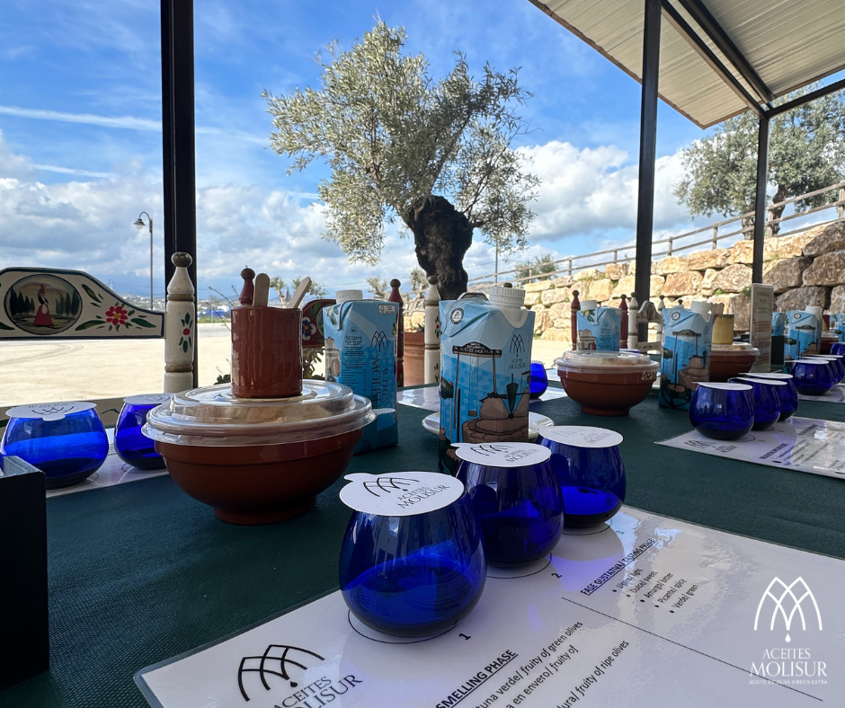 Cata de aceites Molino aceitero Molisur