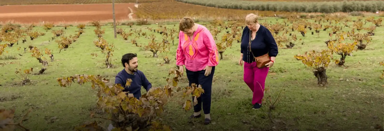 Tour del vino y aceite de oliva