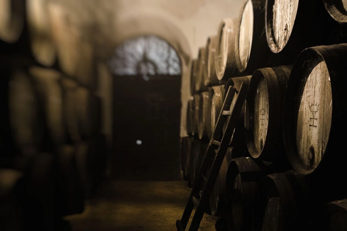 Visita a las Bodegas Halcón en Lebrija