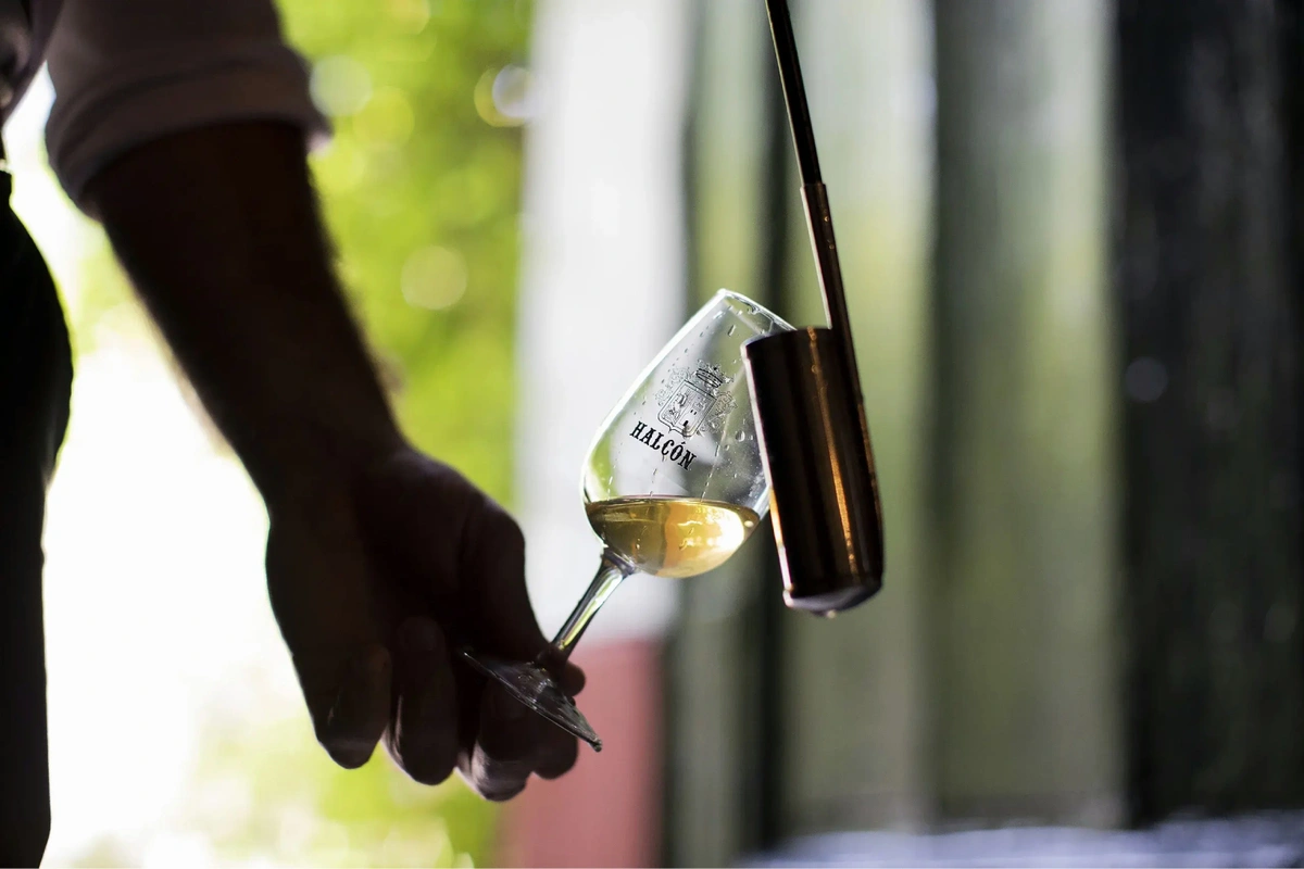 Visita a las Bodegas Halcón en Lebrija