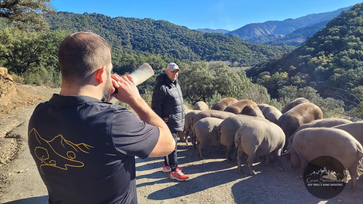 Ibéricos Langenal, Iberotur del Cerdo ibérico Serranía de Ronda