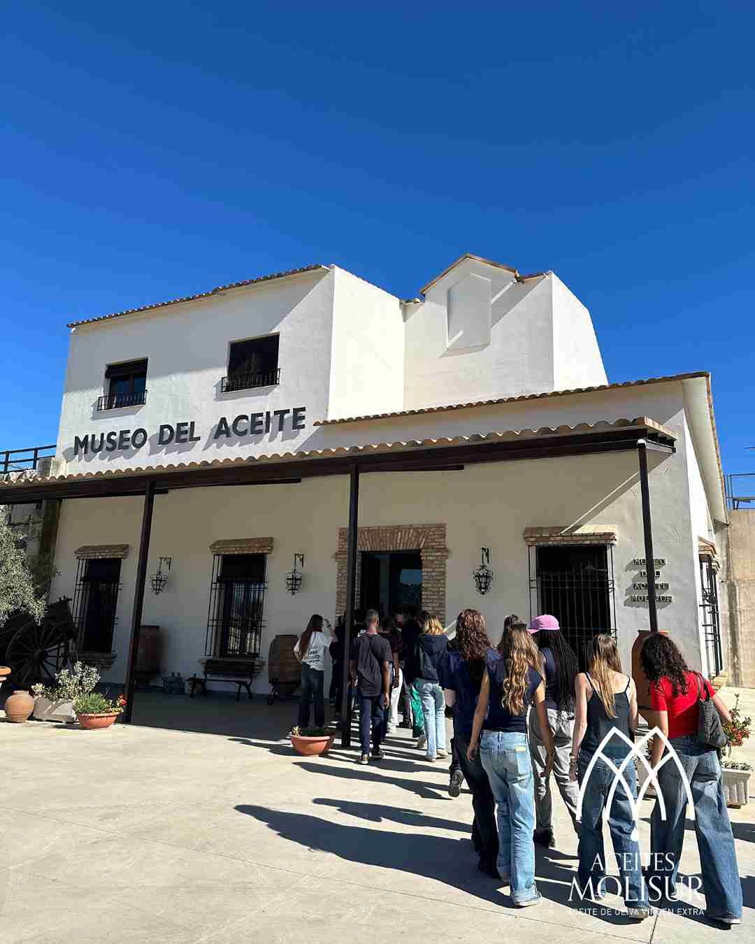 Entrada al Molino aceitero Molisur