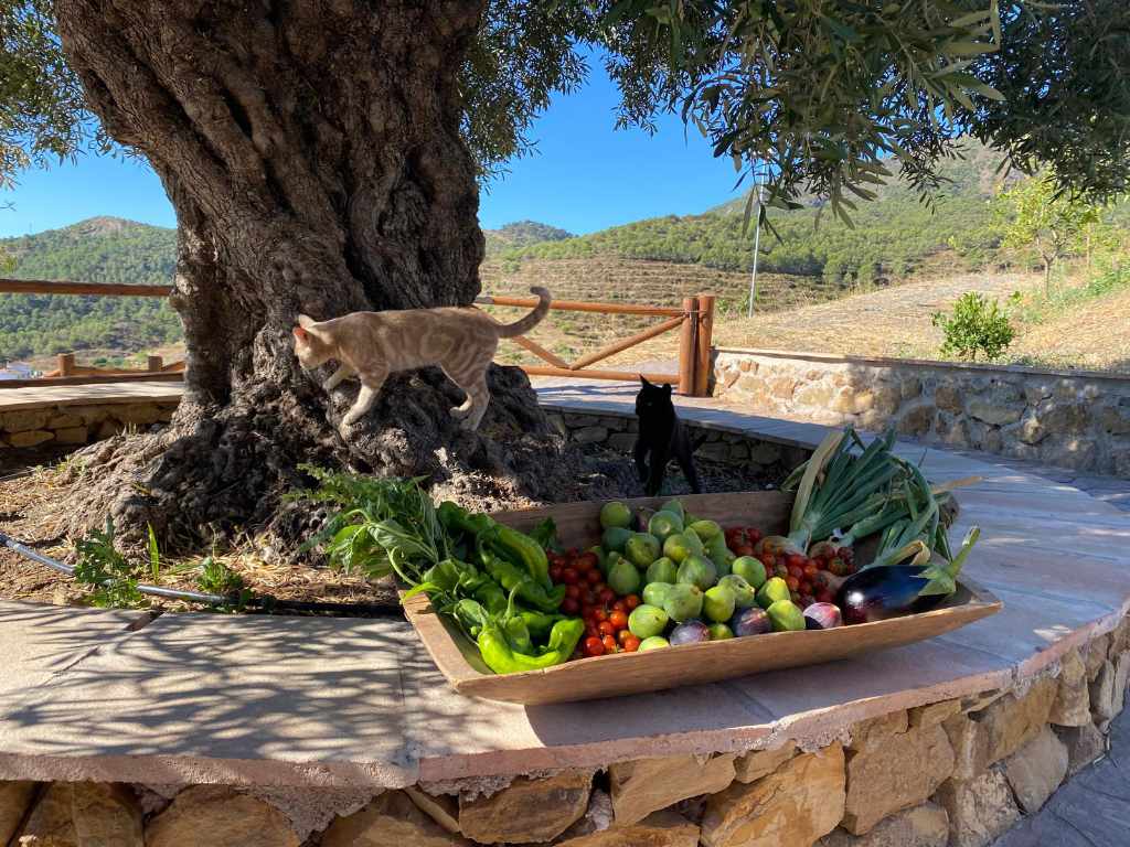 Finca ecológica Solmark