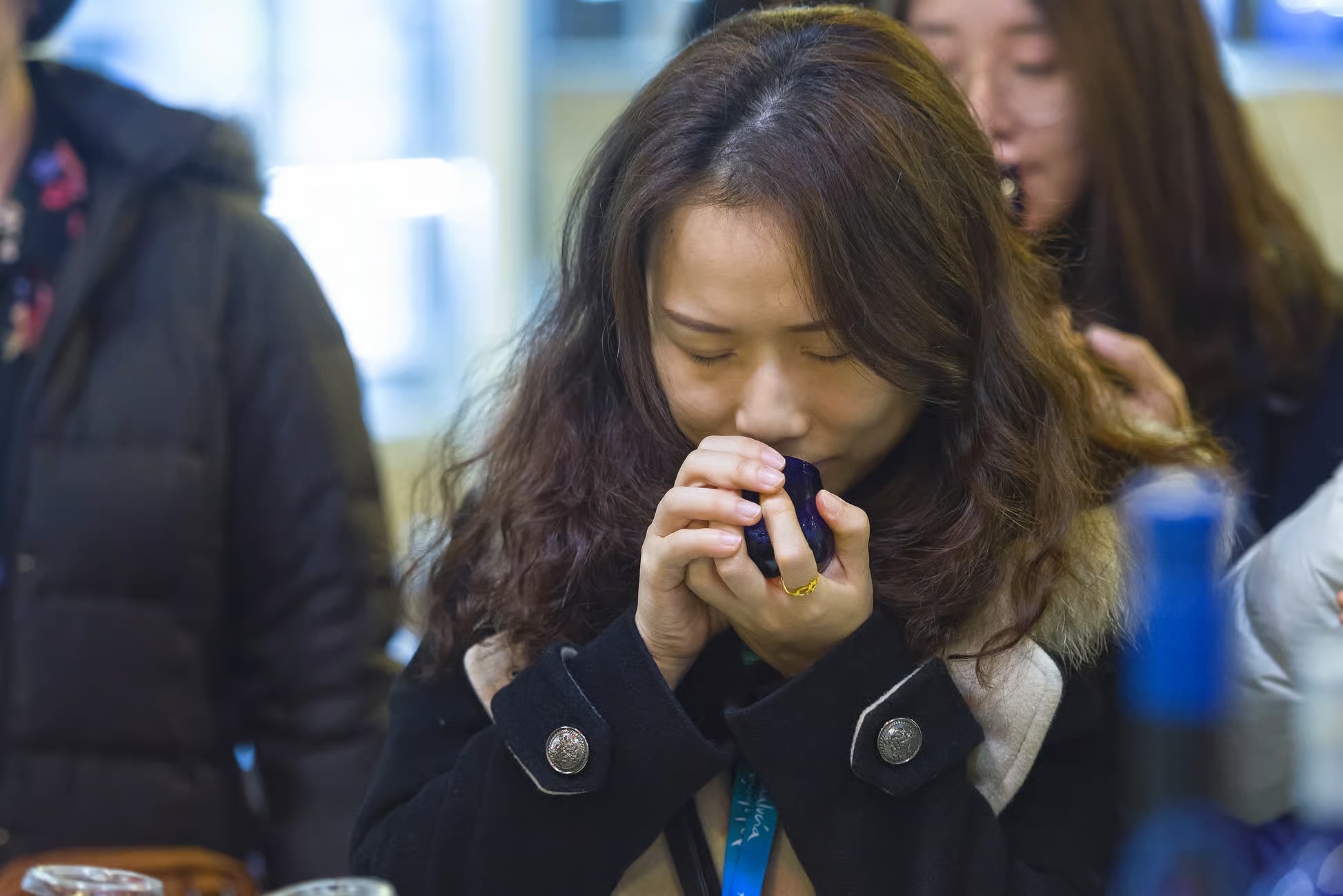Cata de aceite en Bailén con visita a olivar y almazara