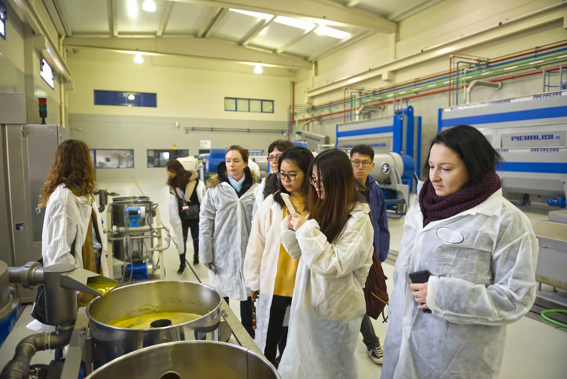 Cata de aceite en Bailén con visita a olivar y almazara