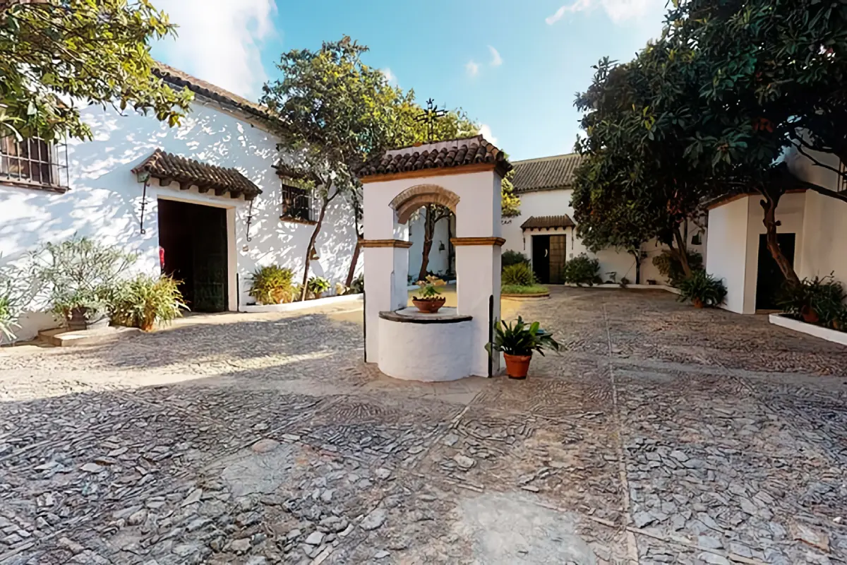 Visita a bodegas Barbadillo