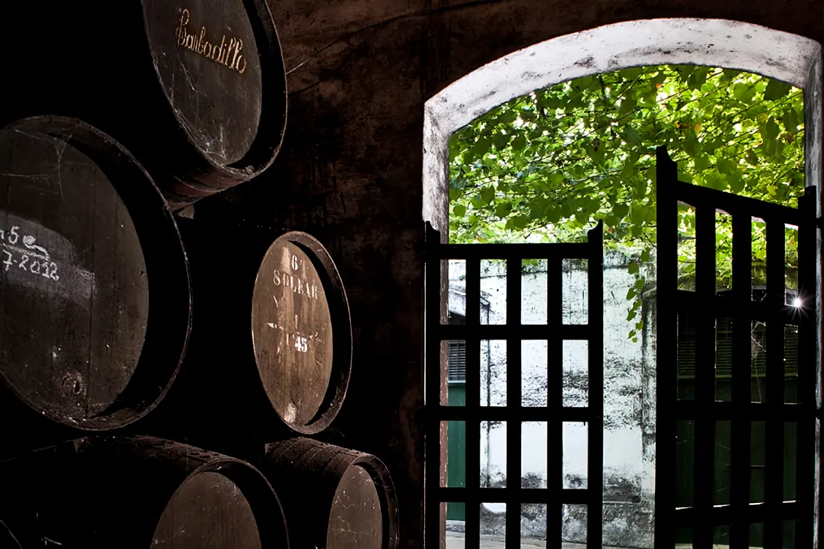 Visita guiada a Bodegas Barbadillo