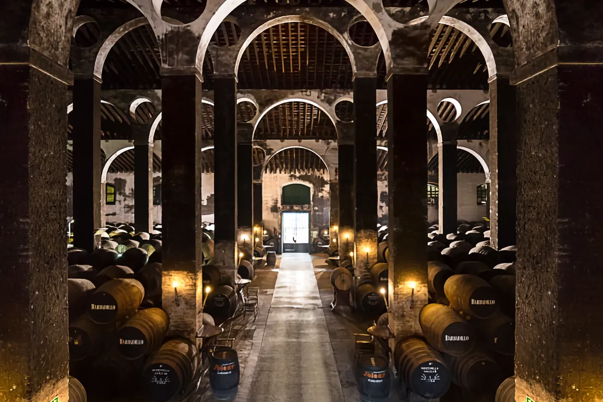 Visita guiada a Bodegas Barbadillo
